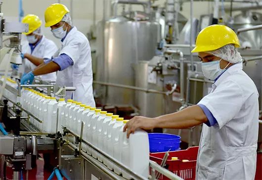 TRABAJO EN EMPACADO: +80 Puestos para Empacadores de Yogurt | Sin Experiencia